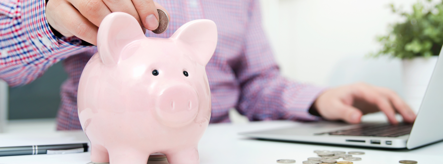 Searching for Savings