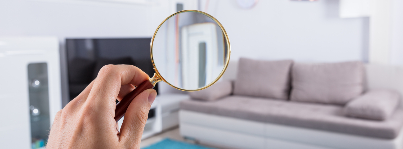 A Renter’s Normal Wear and Tear, or Damage?